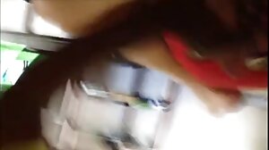 무료 성인 고화질 비디오